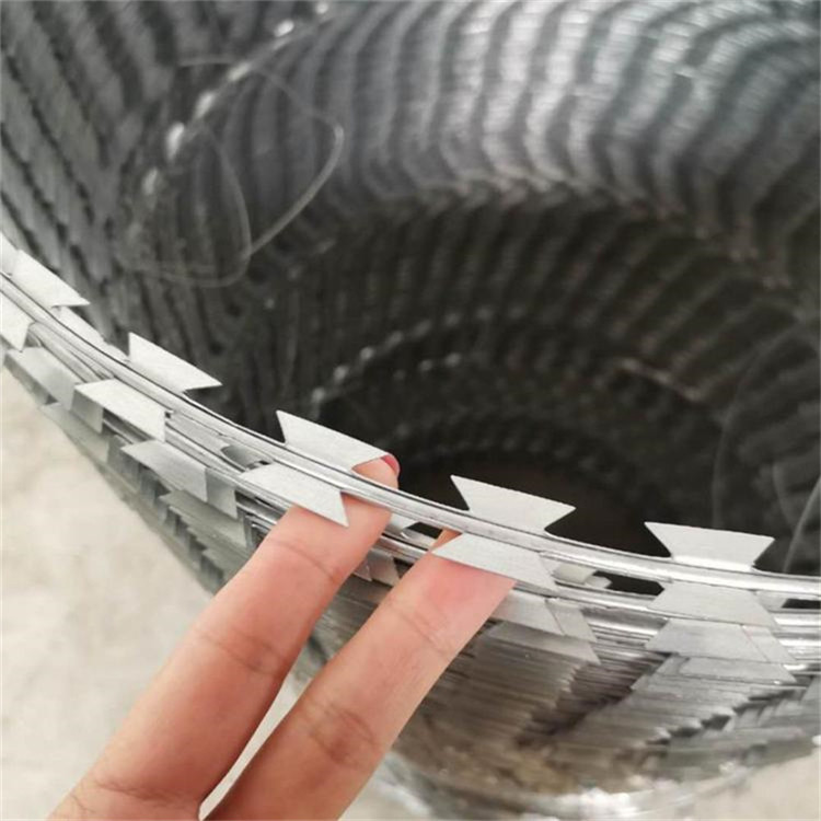 學校圍墻倒刺網圖片3