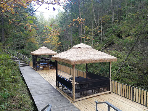 1600327944525524.jpg 2.jpg